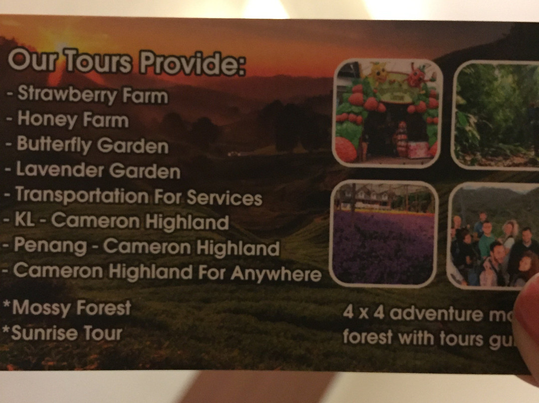 Terminal Freesia-丹那拉塔必去景点