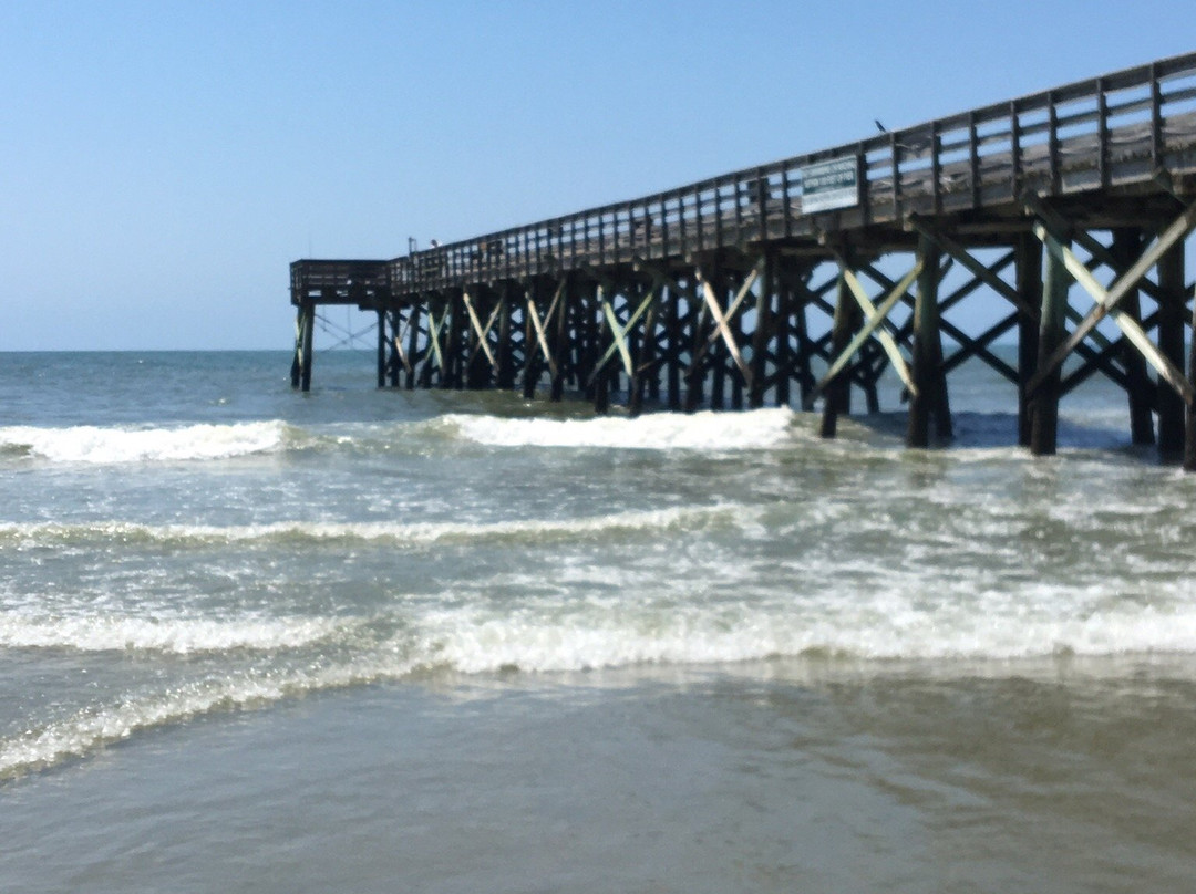 Isle of Palms Beach Chair Company-棕榈岛必去景点