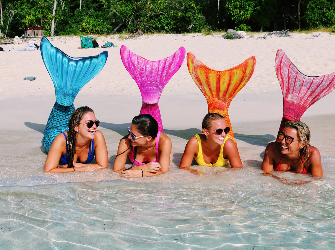 Mermaid Swim VI-克鲁兹湾必去景点