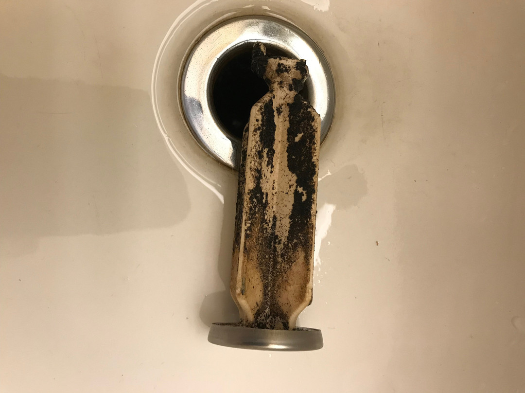 Sumner Motor Inn主图