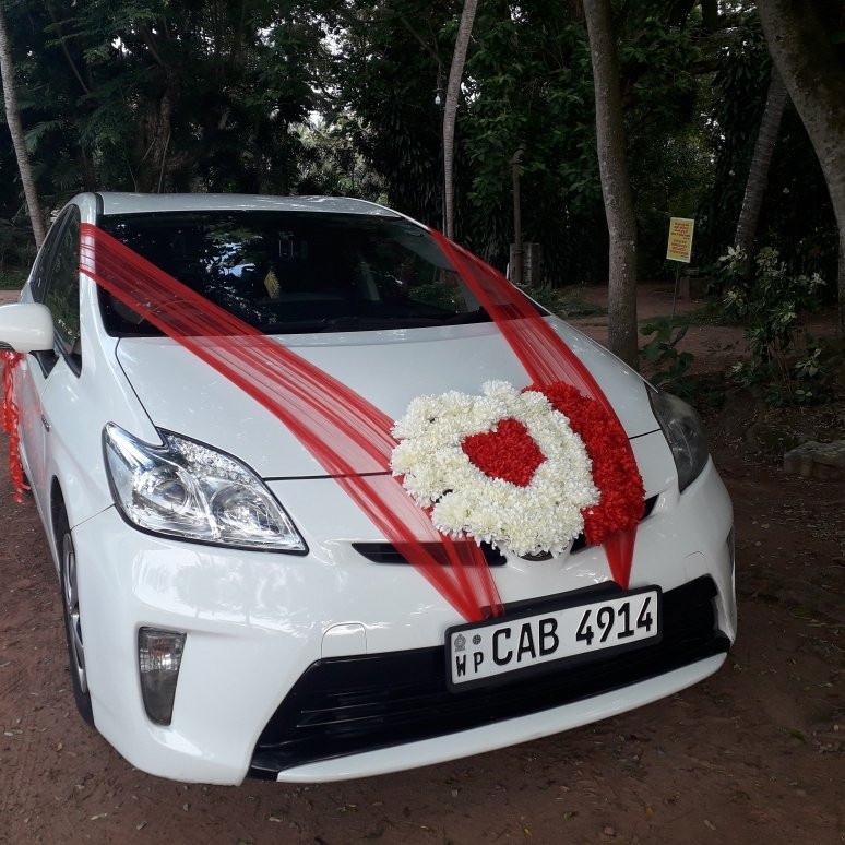 Aqua Pearl Lake Resort主图