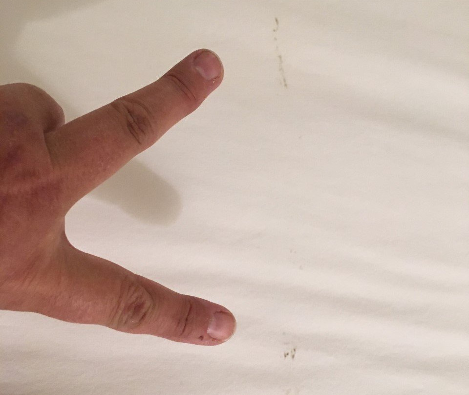 Travelodge Stony Plain主图