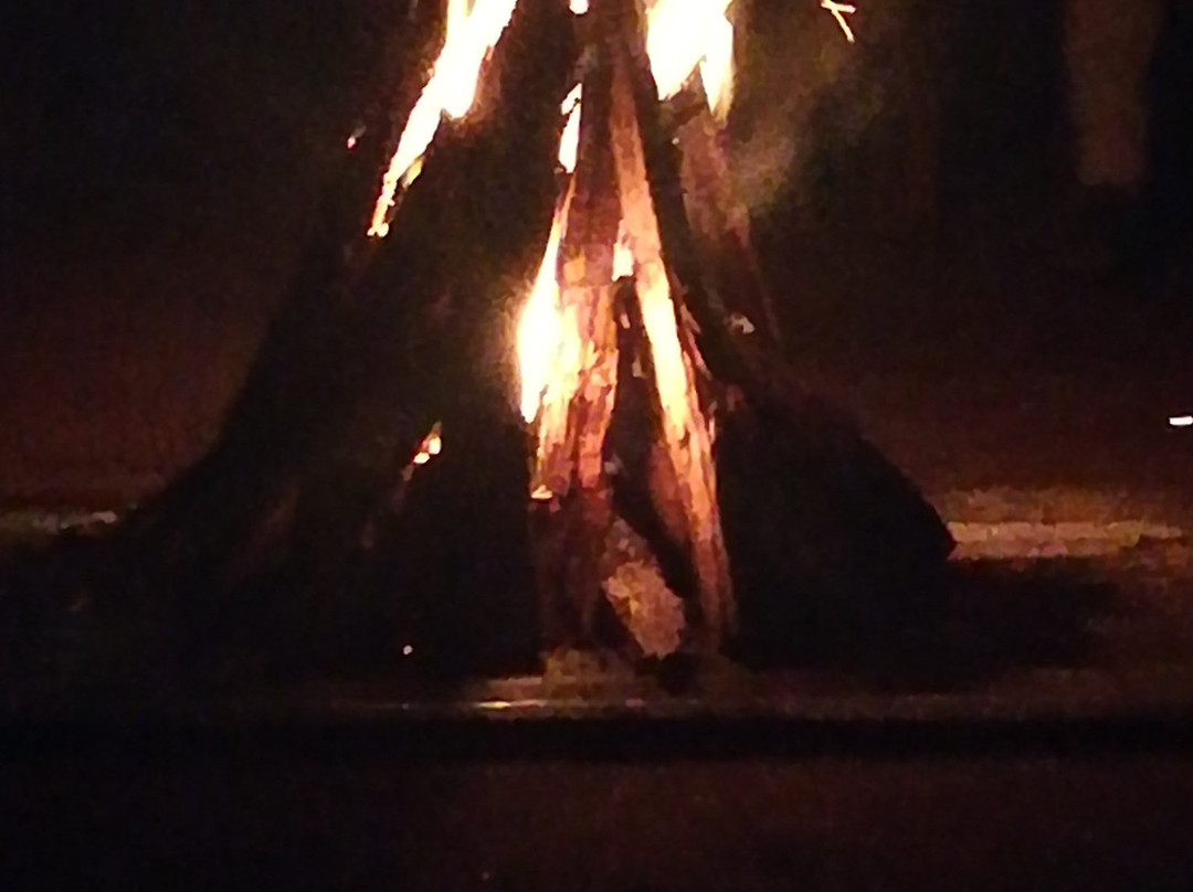 Bannerghatta Nature Camp主图