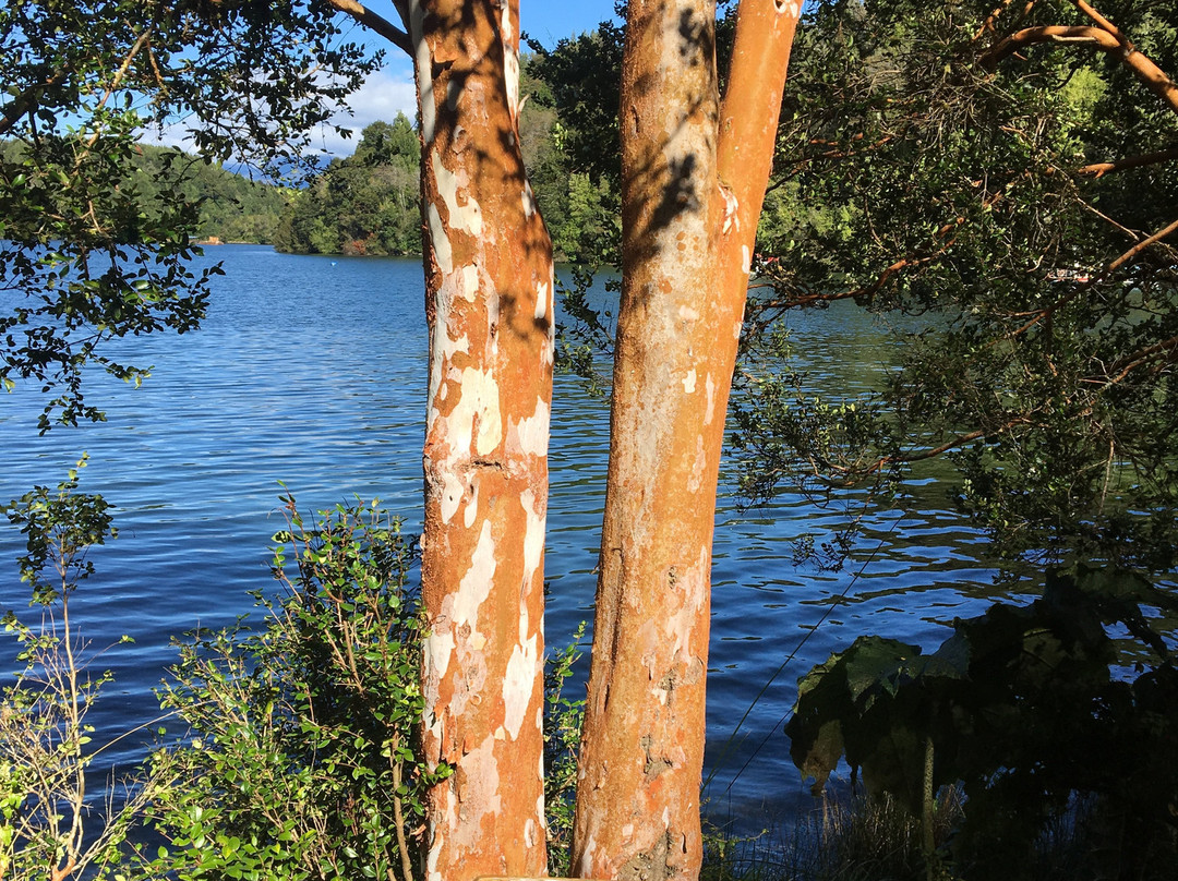 Puyuhuapi Lodge & Spa主图