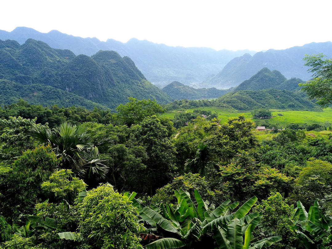 Anh Tu Homestay
