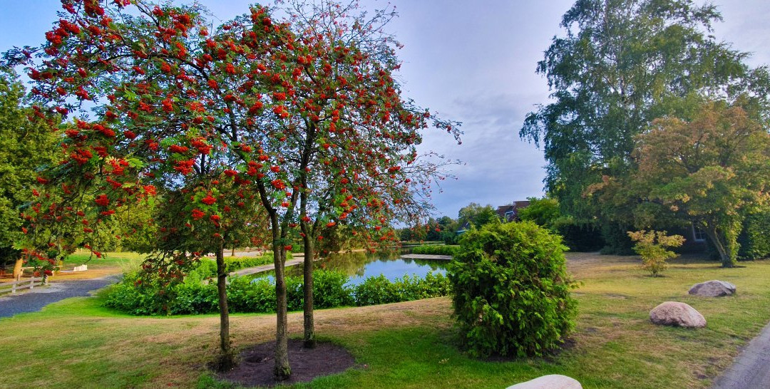 Eurostrand Luneburger Heide Resort主图