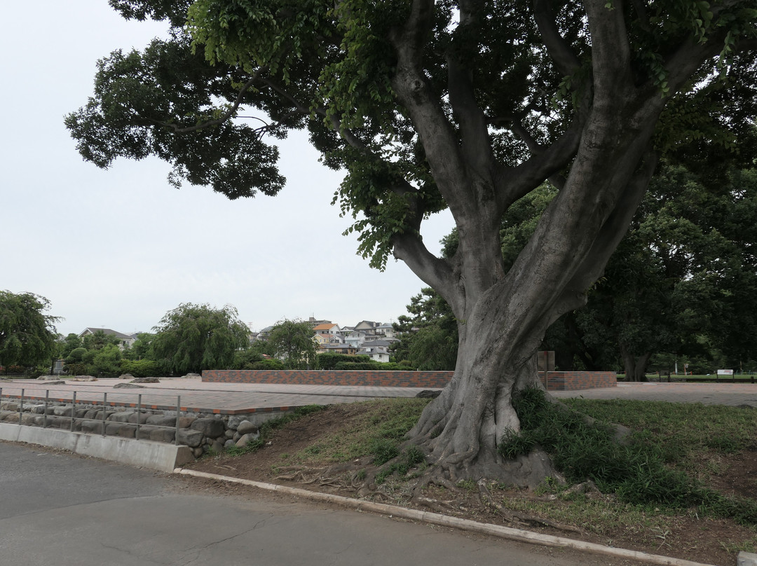 Musashi-kokubunsoji Temple Ruins-国分寺市必去景点