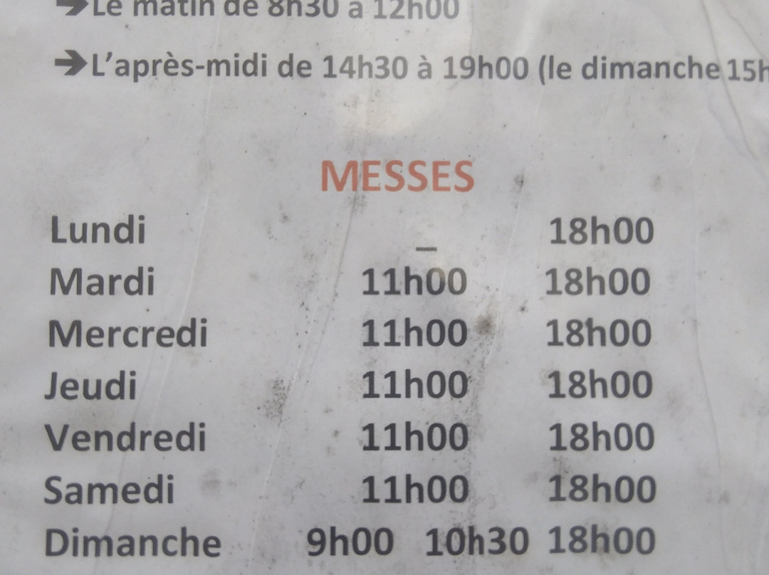 尼斯圣母院-尼斯必去景点