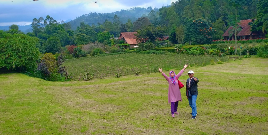 Kebun Mawar Garut景点图片