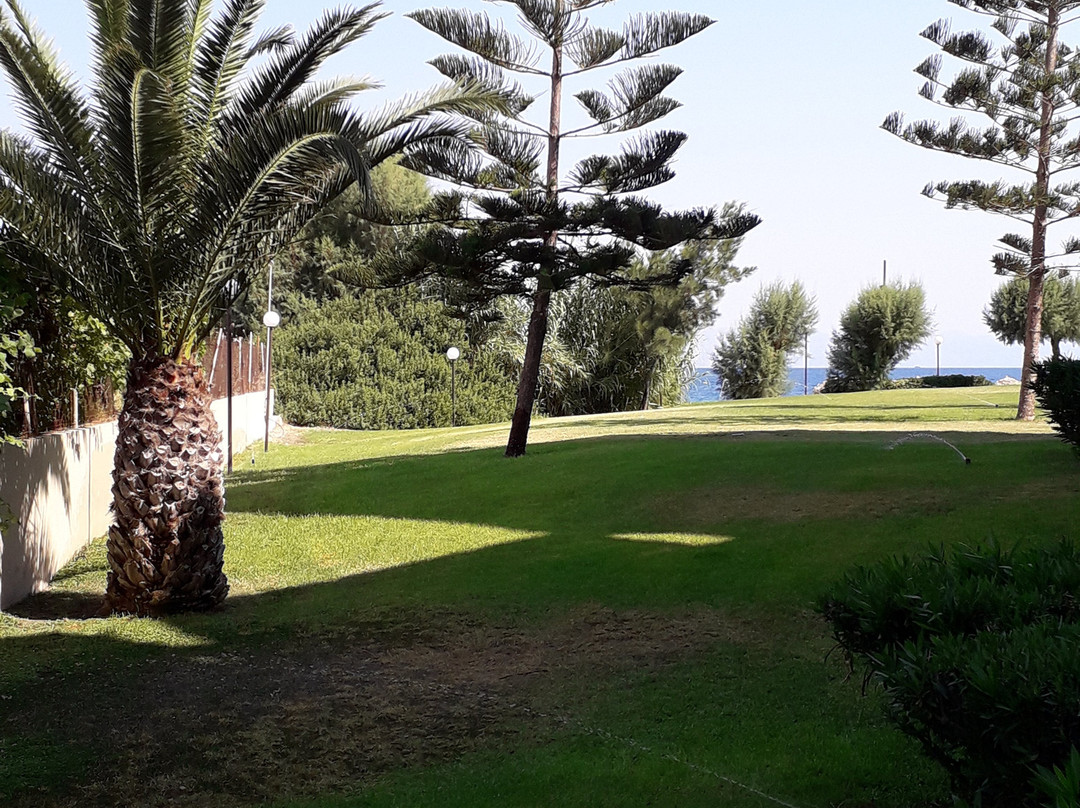 D'Andrea Mare Beach Hotel主图
