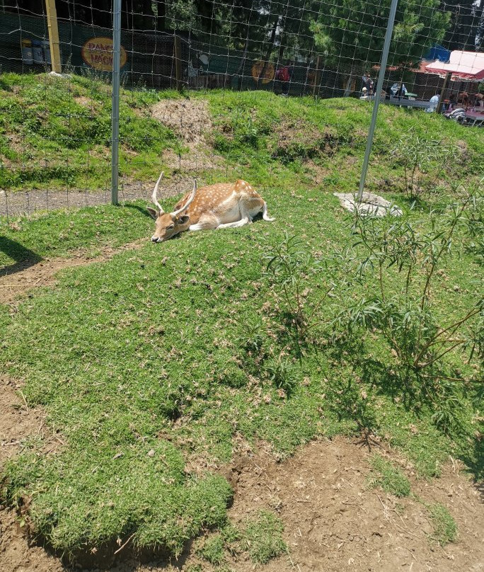 Rancho Magico-墨西哥城必去景点