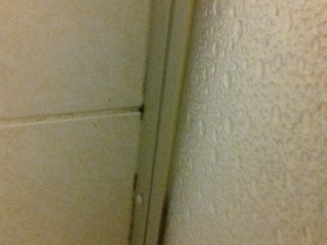 Hotel Soelchebaeck主图