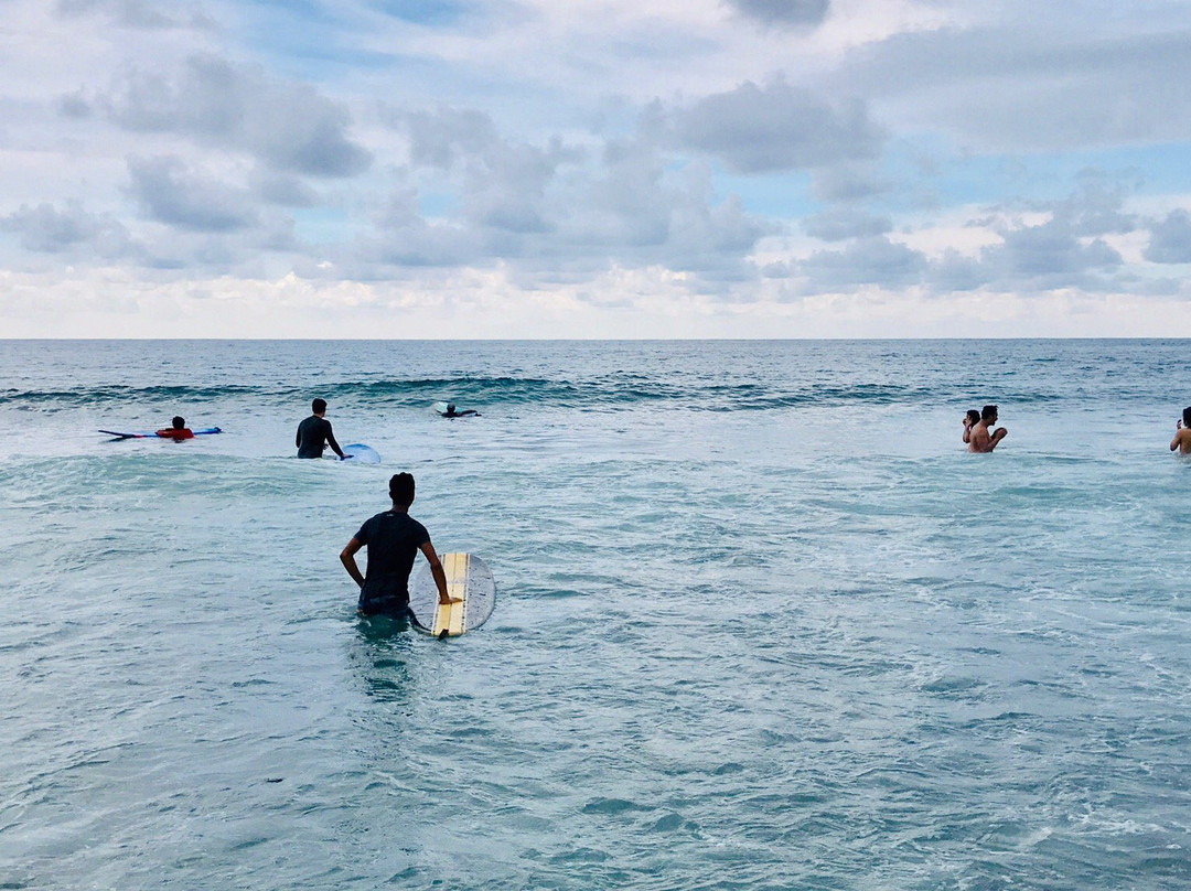 The Little Surfmaid Resort主图