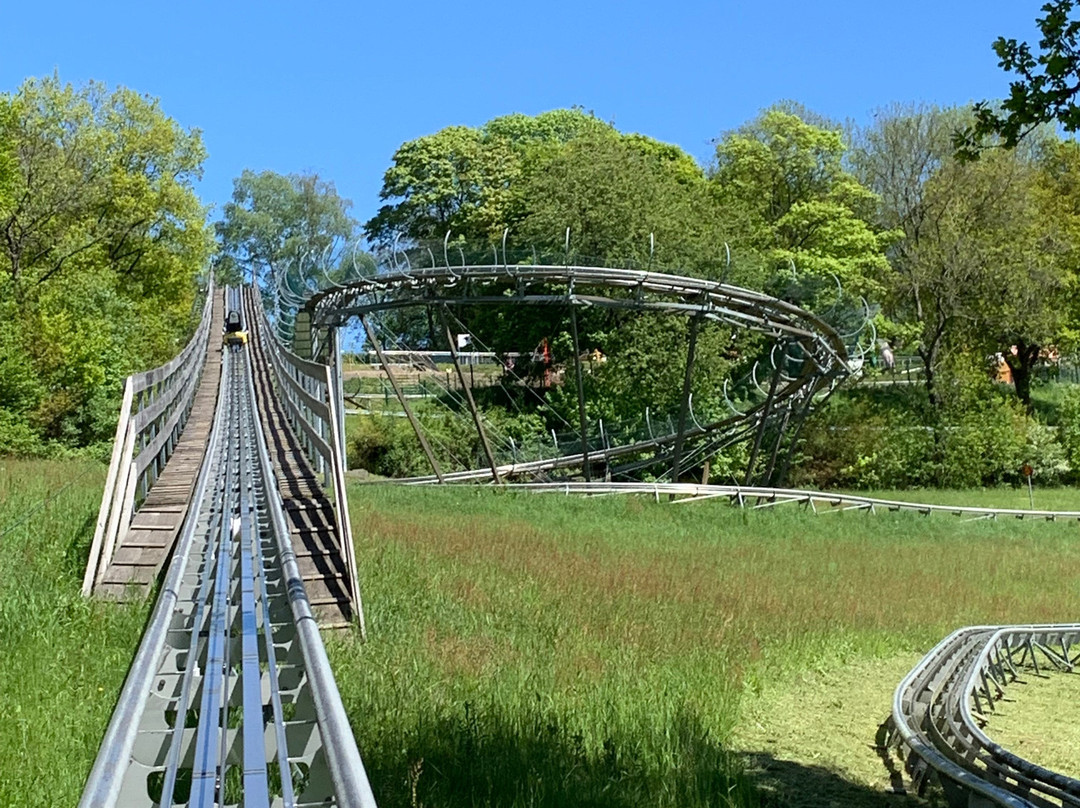 Sommerrodelbahn-Wald-Michelbach必去景点