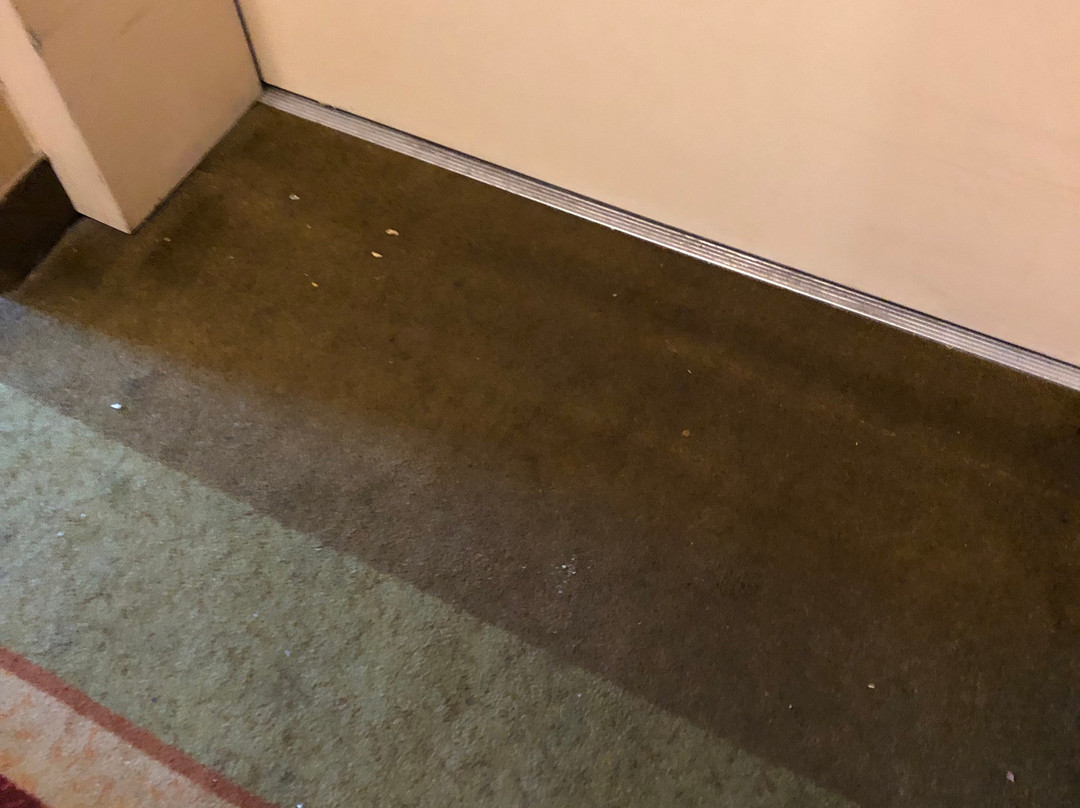 Red Roof Inn & Suites Bloomsburg - Mifflinville主图