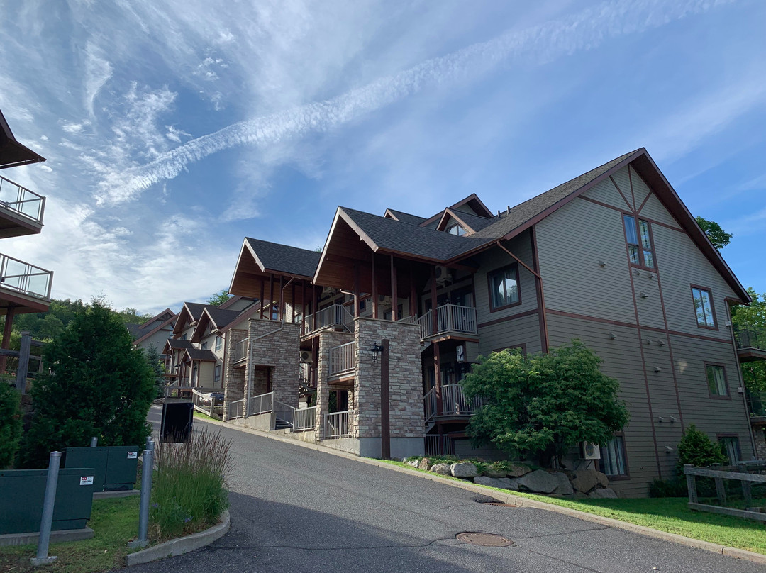布罗山城堡公寓式客房酒店