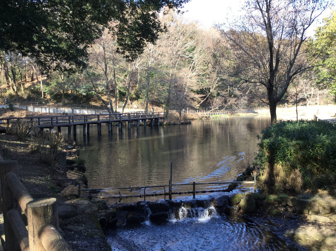 Omachi Park-市川市必去景点