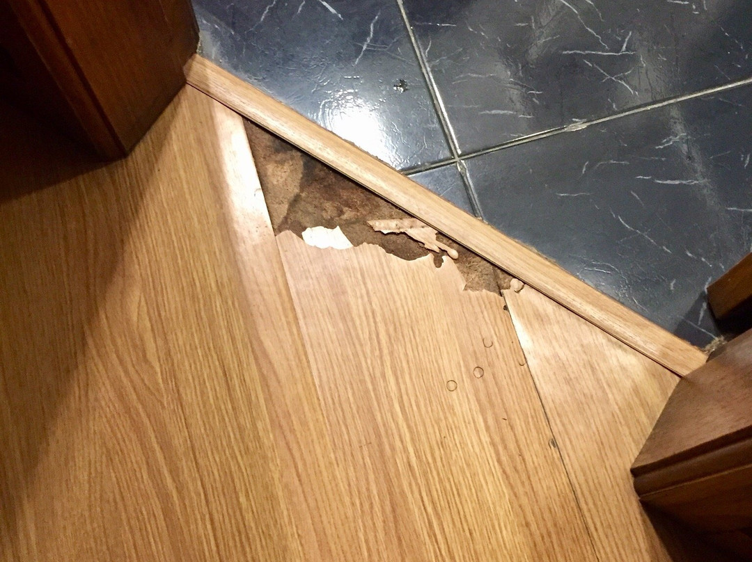 Jacques Georges Hotel主图