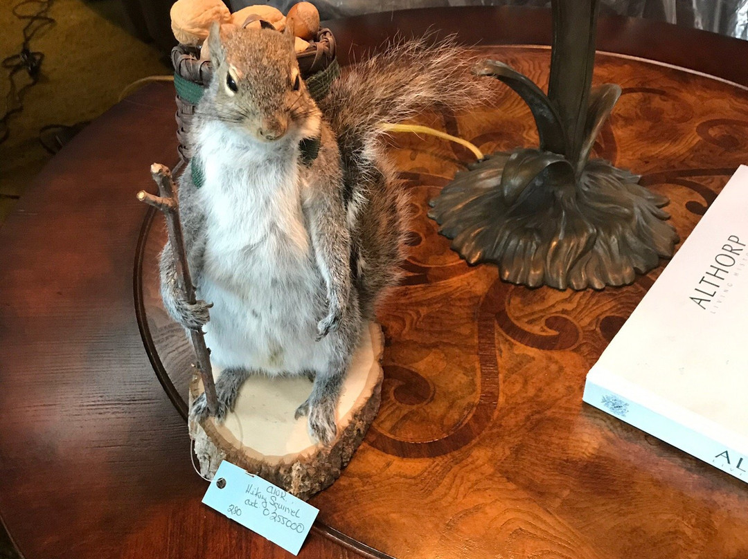 McClain's Furniture-马斯科吉必去景点