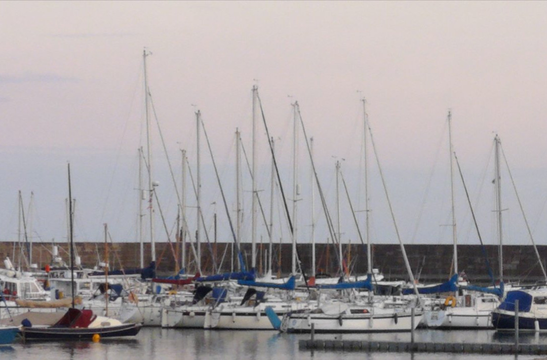 Westwood Guest House & Whole House Let主图