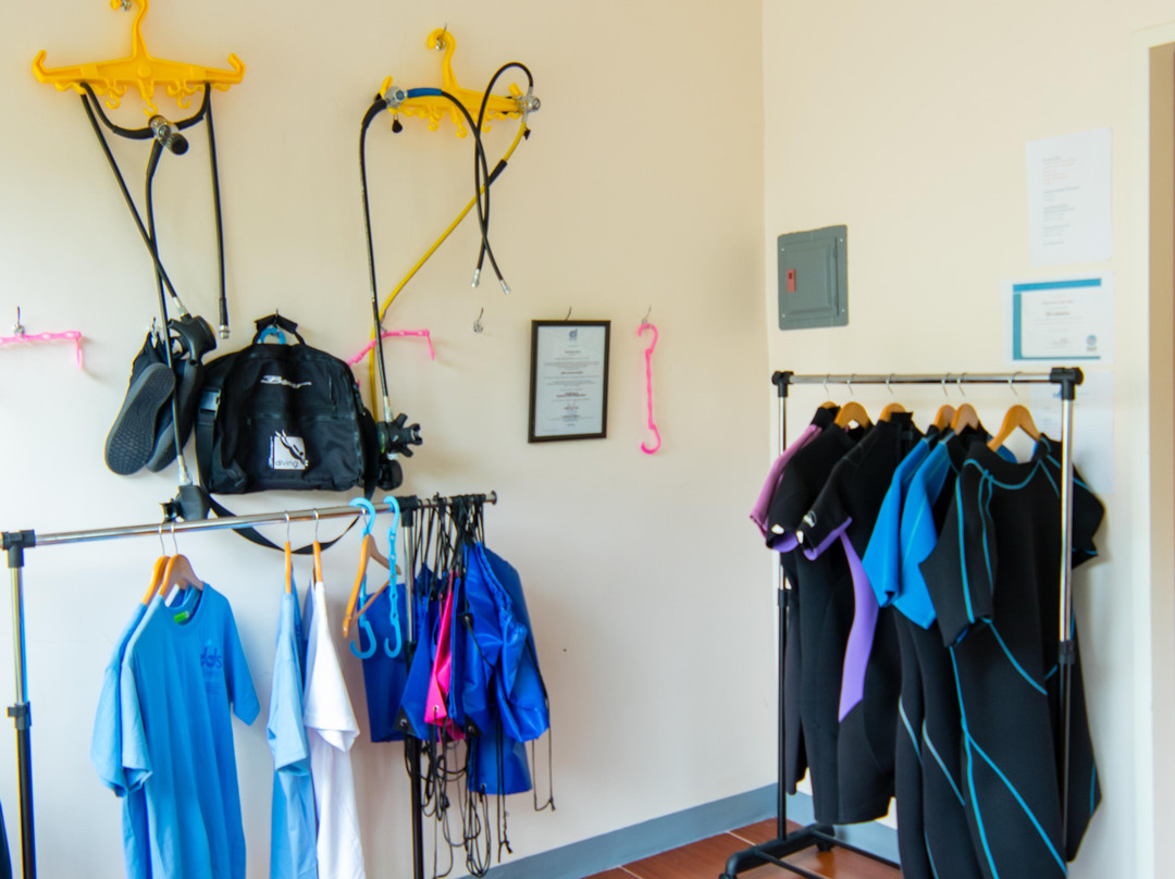 Steve Davies Dive Shop-Ponson Island必去景点