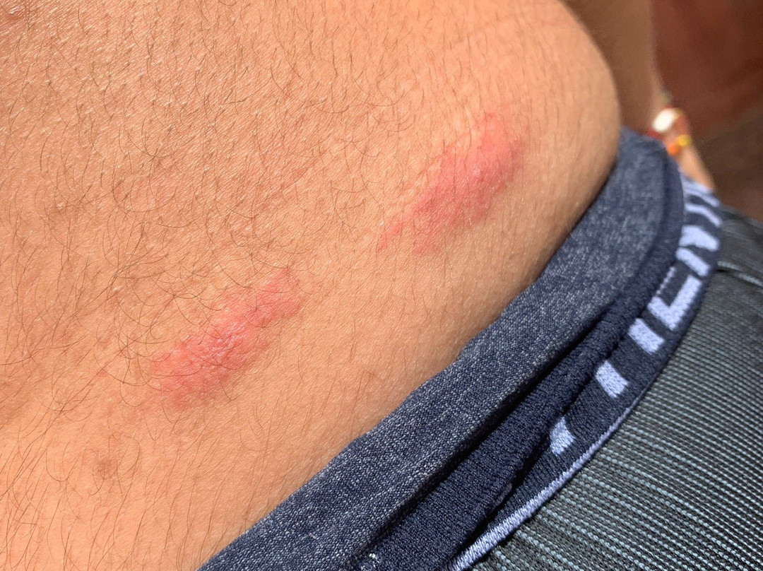 Riad Beloiseau主图