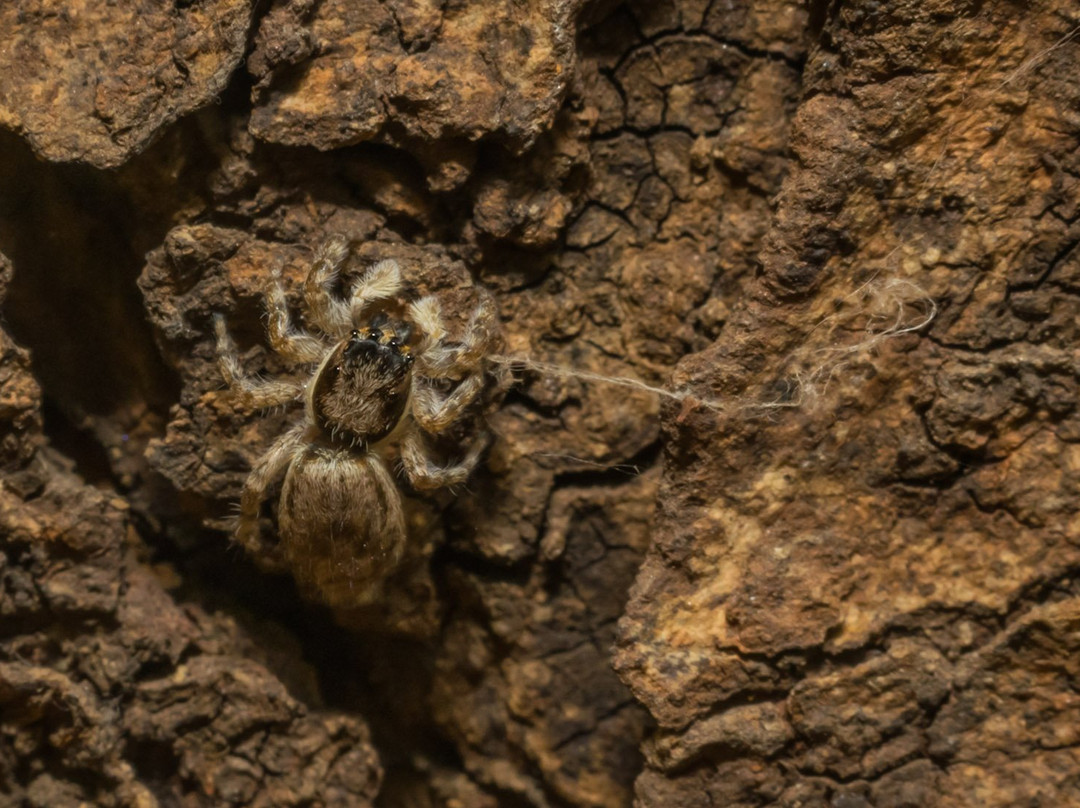 Mumbai Port Trust Garden-孟买必去景点