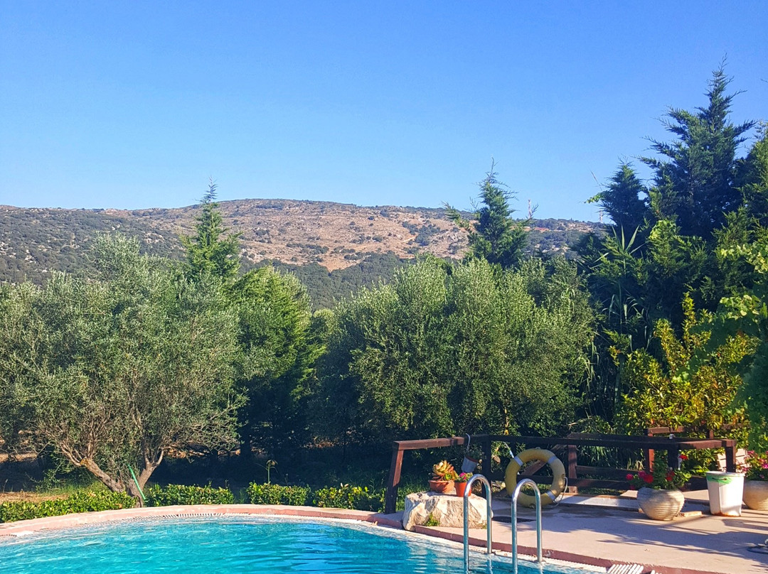 Volidiera Guesthouse主图