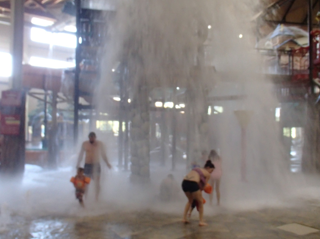 Great Wolf Lodge Water Park景点图片