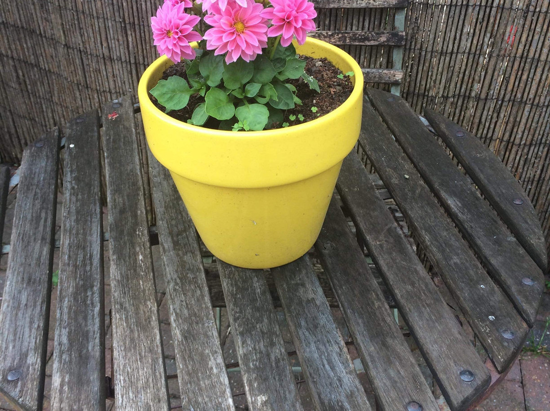 Harbour View self catering Accomodation主图