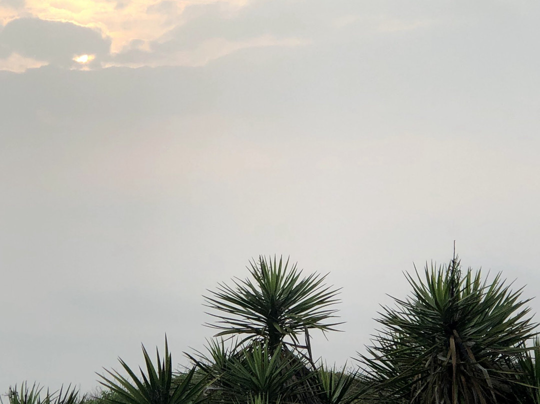 Malaquite Beach-科珀斯克里斯蒂市必去景点