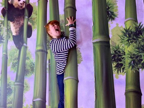 Museum of Photoillusions-利沃夫必去景点