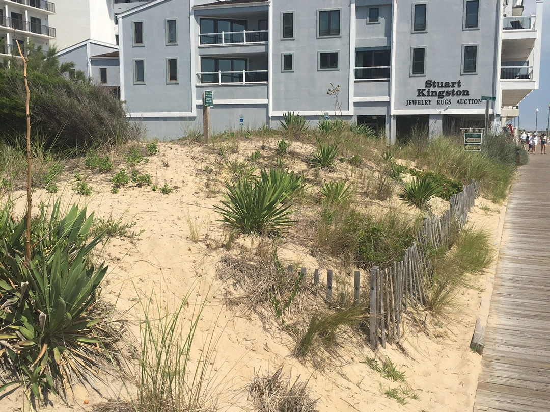 Dune Nature Park-里霍博斯比奇必去景点