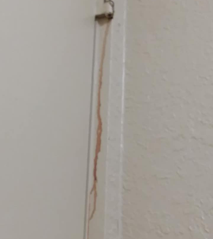 Rodeway Inn Metro Airport主图