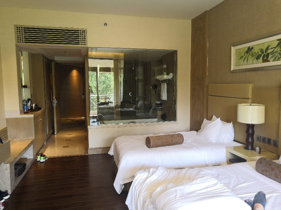 武夷山大红袍山庄主图