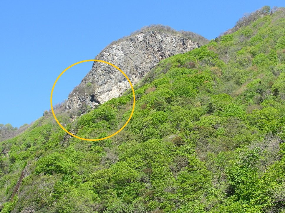 Ota Shrine-濑棚町必去景点
