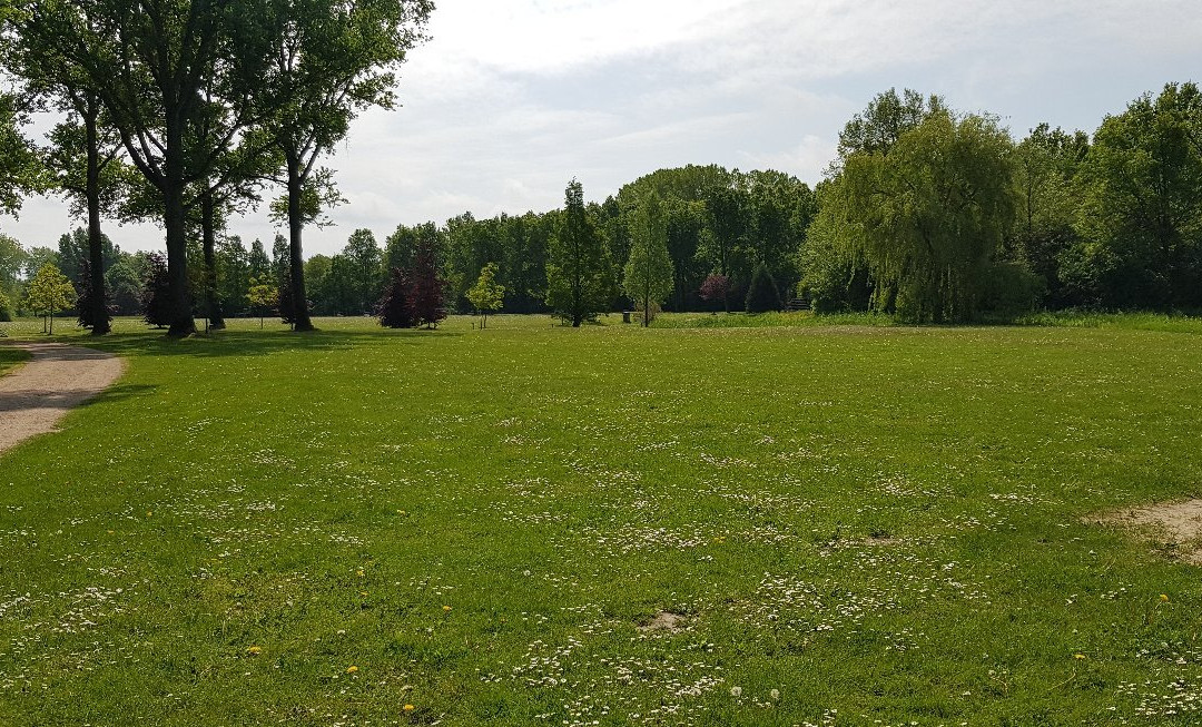 Haarlemmermeerse Bos-霍夫多普必去景点