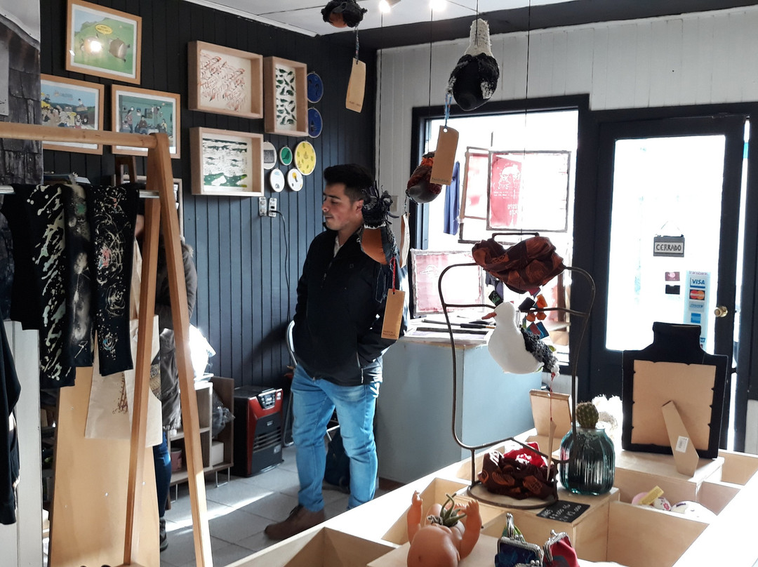 Tienda & Taller Chancho-Castro必去景点