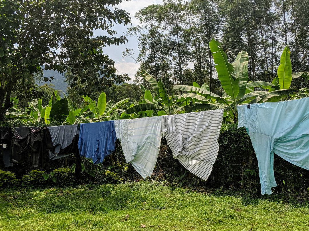 The Zaales' Homestay主图