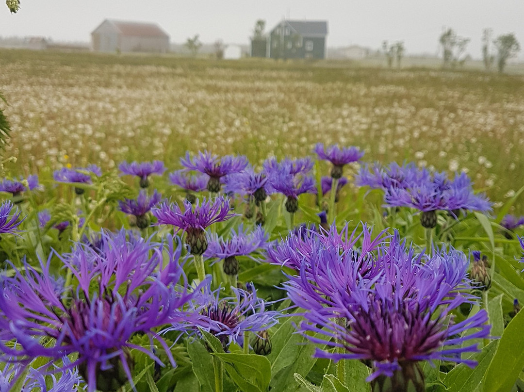 Moore's Specialties主图