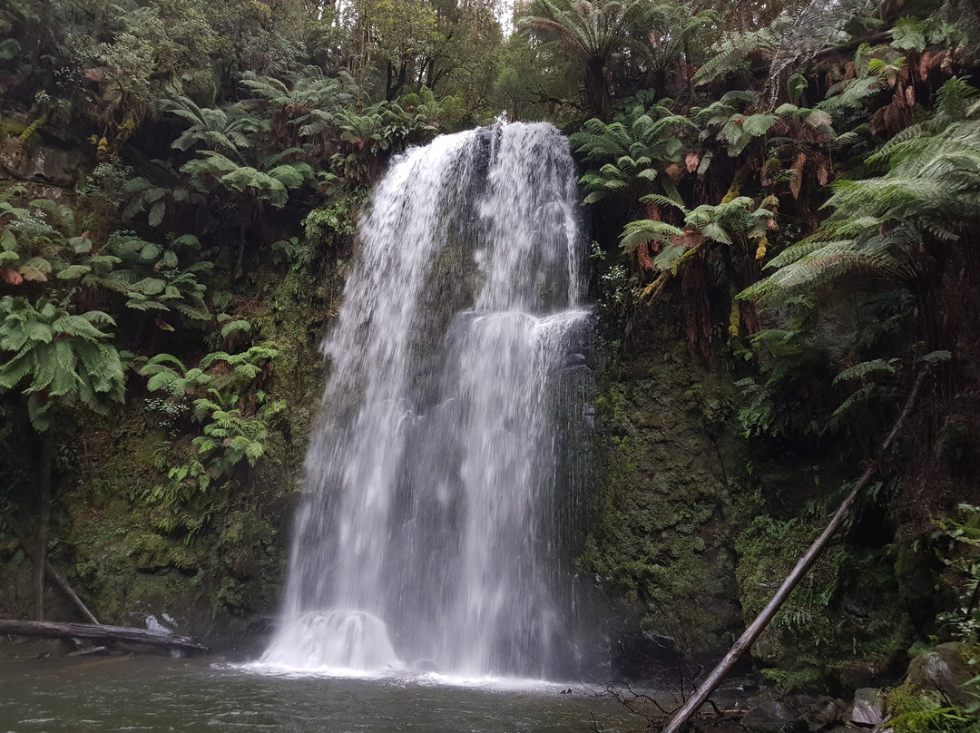 Beauchamp Falls-Beech Forest必去景点