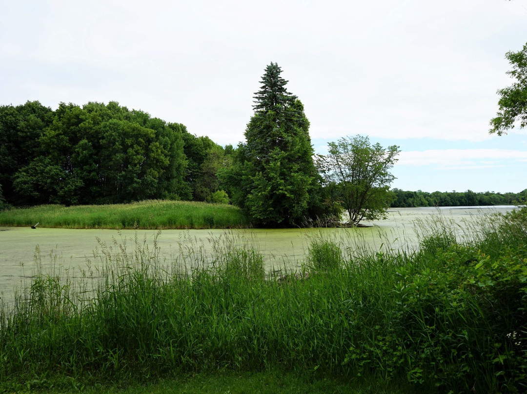 Cleary Lake Regional Park-Prior Lake必去景点