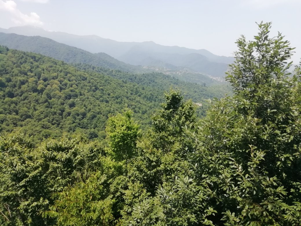 Ramsar Cable Car景点图片