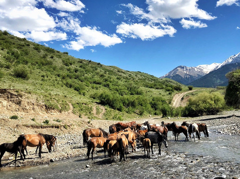 TauTour-阿拉木图必去景点