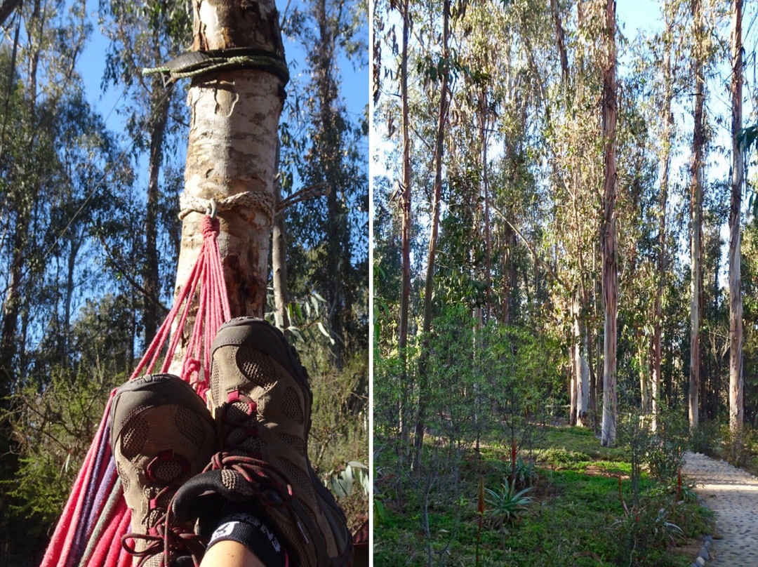 Hotel & Spa Colinas de Cuncumen主图