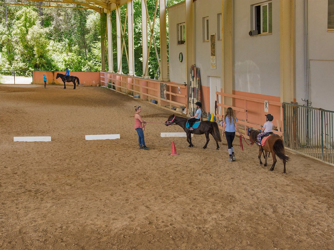 Silvaland-Kalafationes必去景点