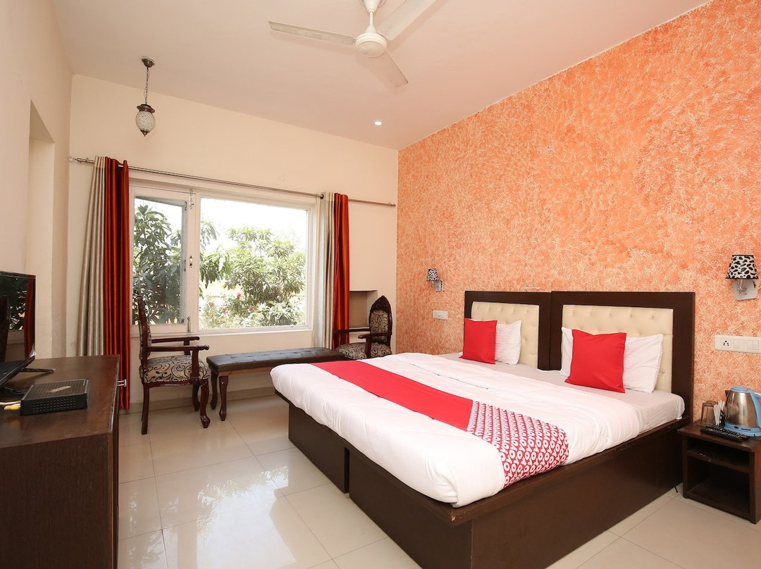 Treebo the Baghban主图