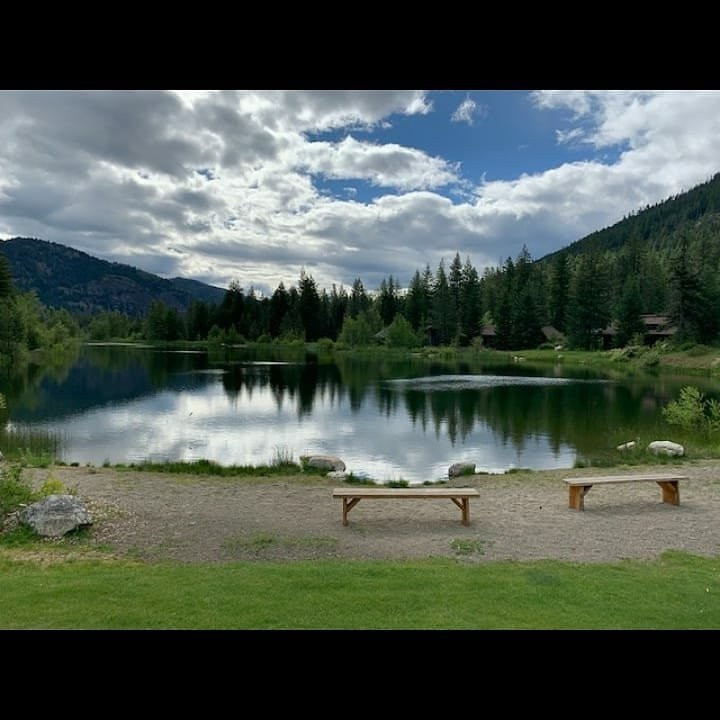 Freestone Inn & Cabins主图