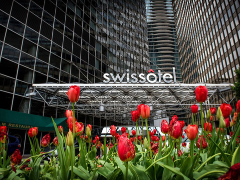 芝加哥瑞士酒店主图