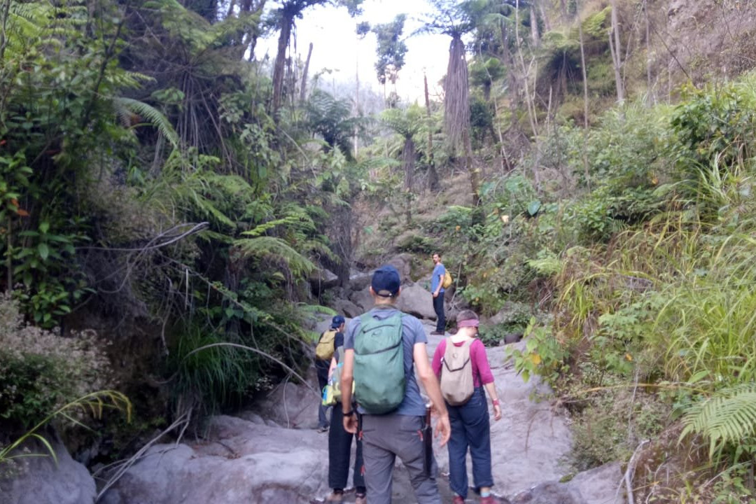Wayan Darta Mount Agung Trekking景点图片